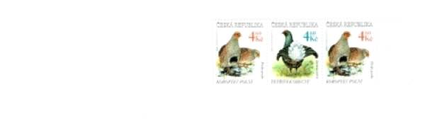 ZS 0063 ** - 1998